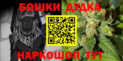 индика Ачхой-Мартан
