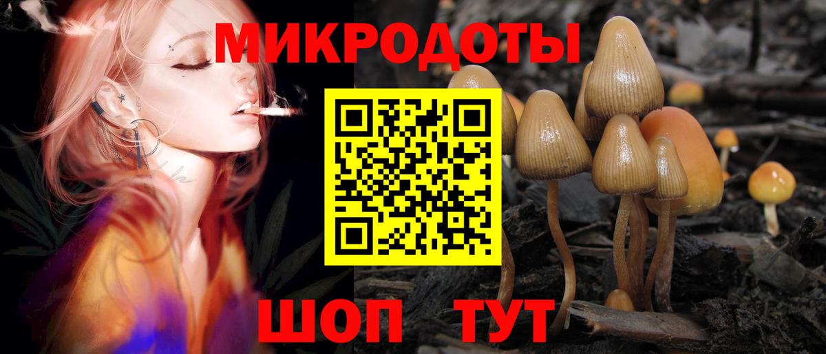 Большой Камень  Псилоцибиновые грибы Magic Shrooms  Галлюциногенные грибы Psilocybe  Вход с VPN 
